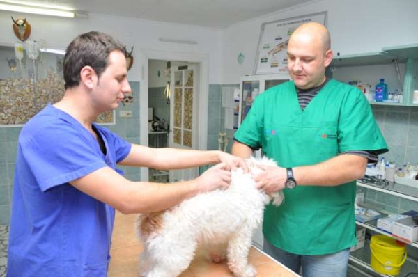 Cabinet veterinar sector 1 Provet Consult